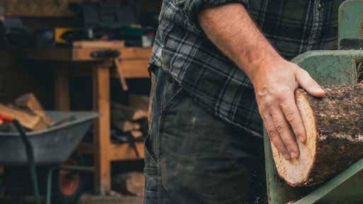 Alles rund ums Brennholz: Holzarten, Trocknung und die richtigen Werkzeuge